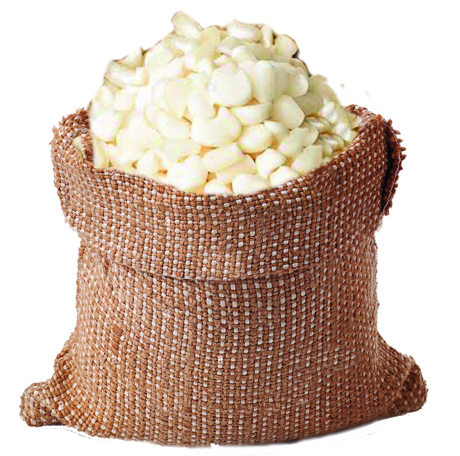 MAIZE