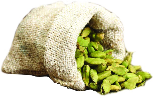 CARDAMOM