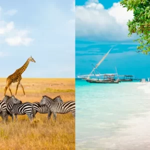 safari and zanzibar