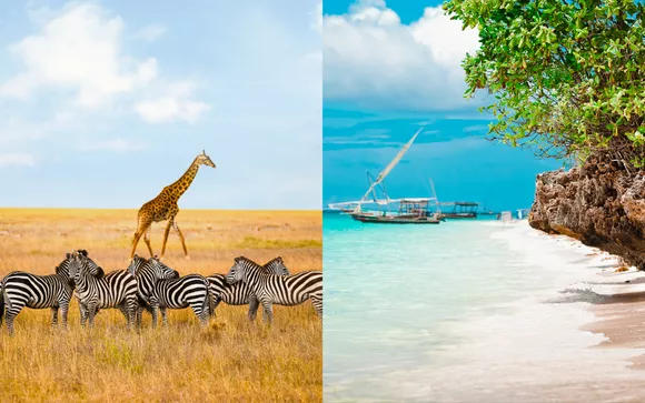safari and zanzibar